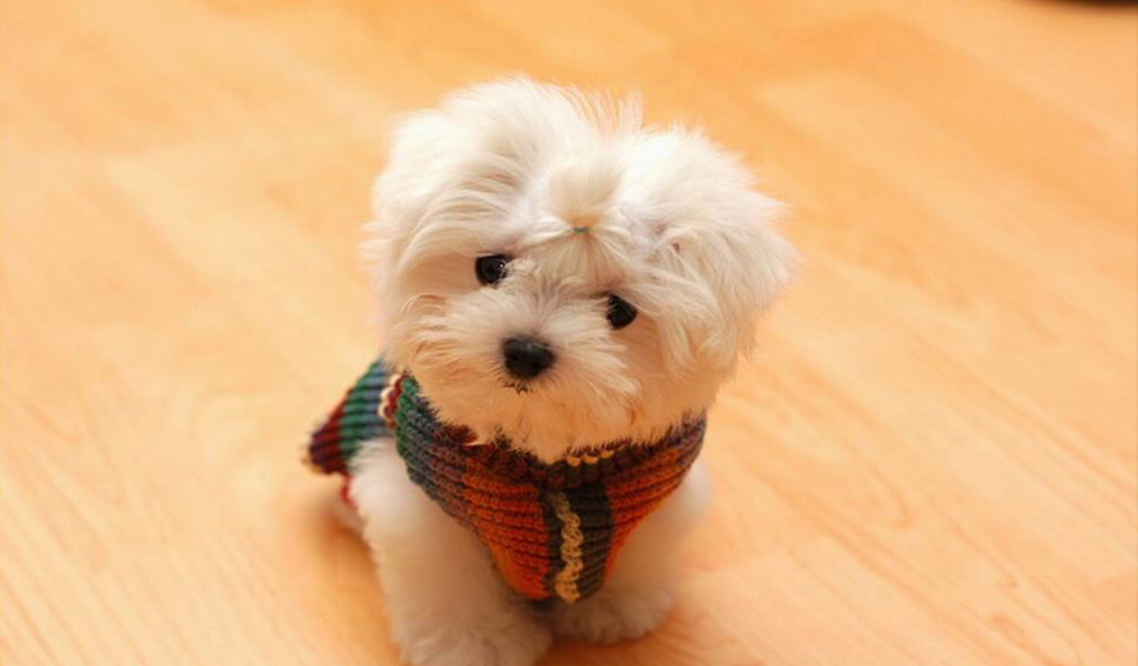 Игрушечный щенок