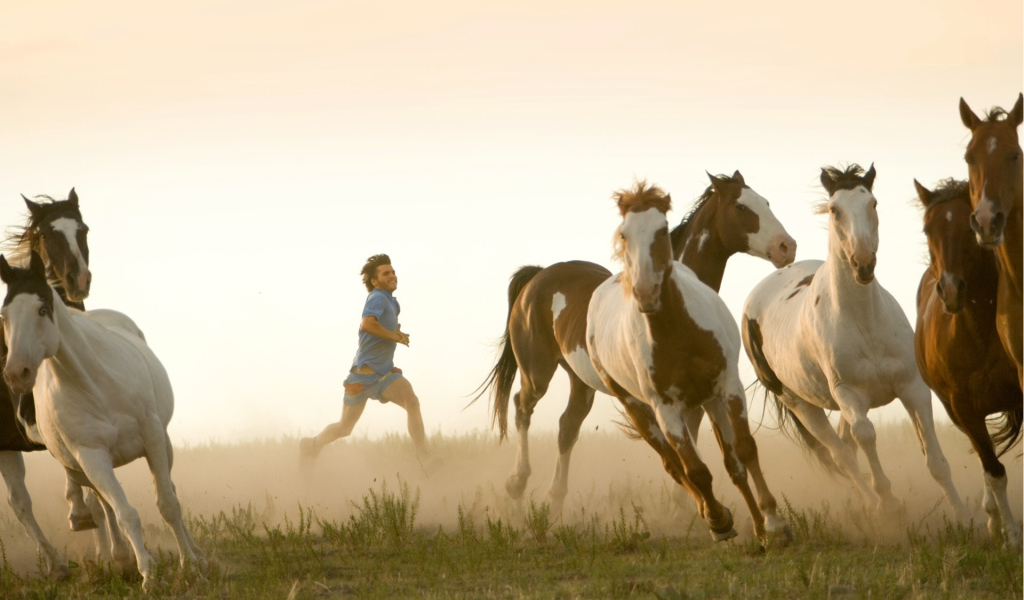 Пробежка с табуном