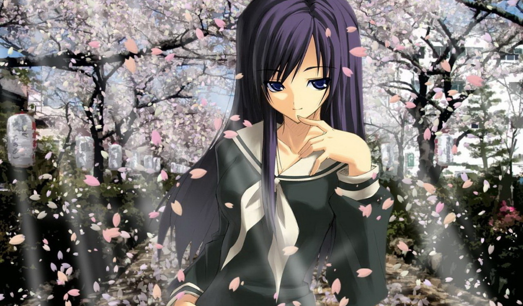 В цвете сакуры