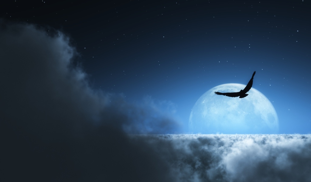 На фоне луны