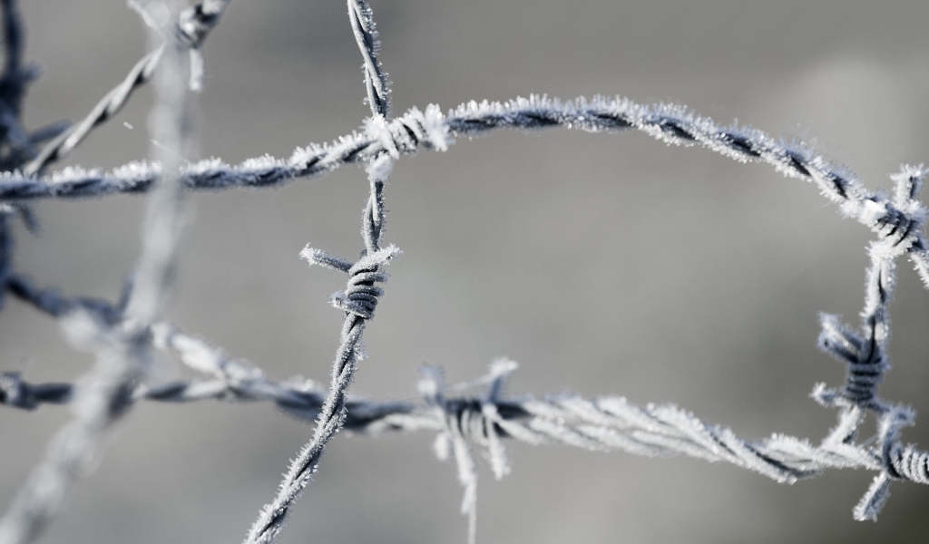 Колючая проволока