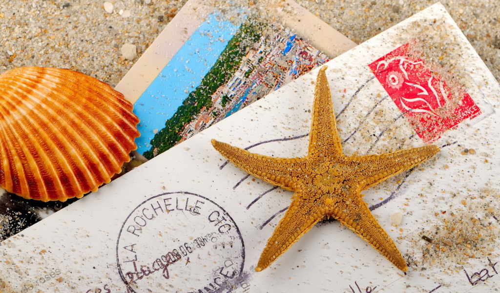 Письмо, ракушка, морская звезда