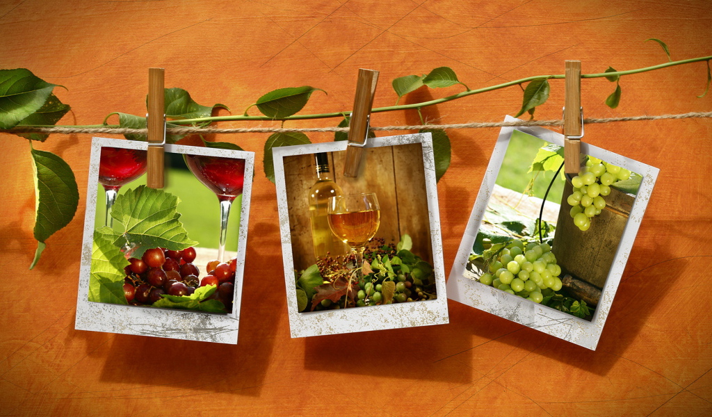 Фотографии