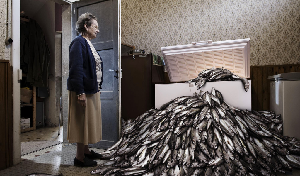 Охлажденная рыба