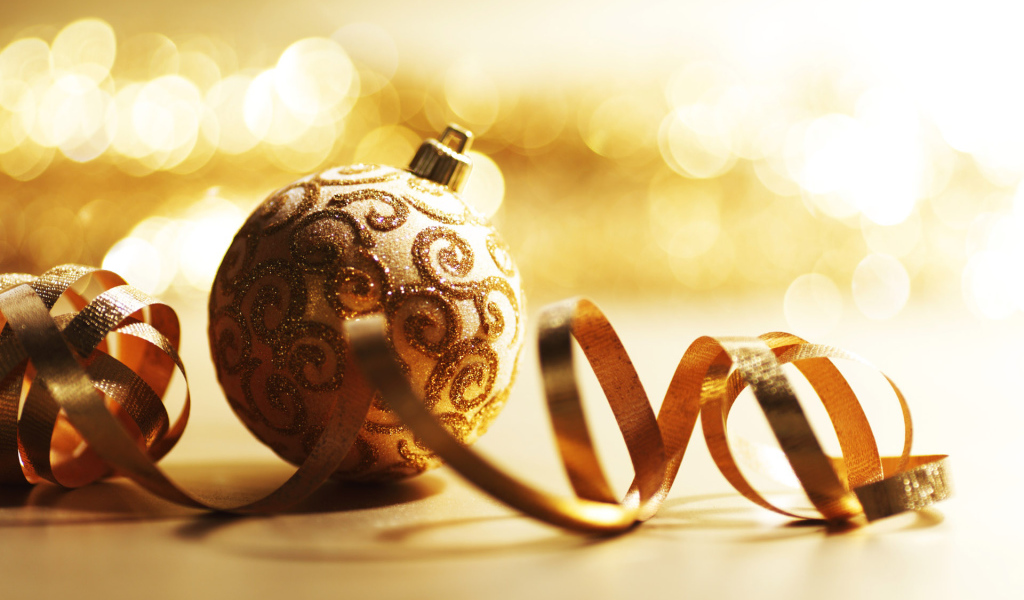 С Новым 2011 Годом