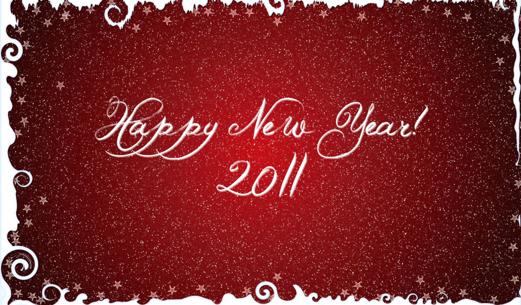 Новый Год 2011