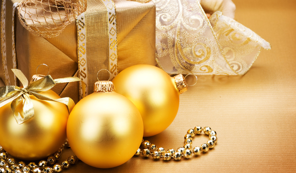 Празднование Нового Года 2011