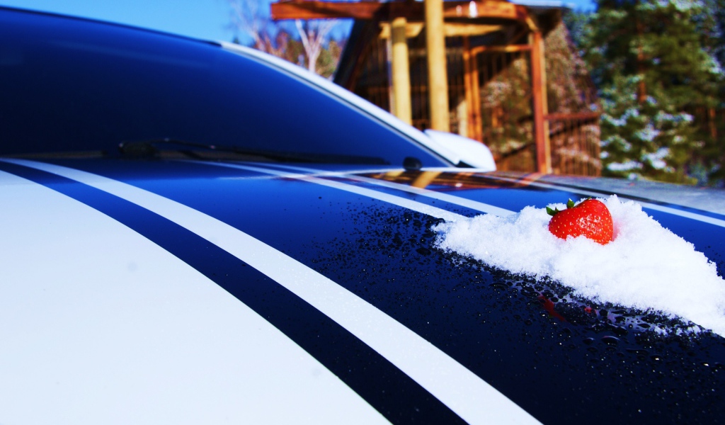 Клубника на капоте