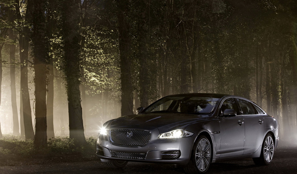 Jaguar XJ в лесу