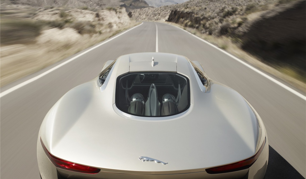 Спортивный ягуар 2011