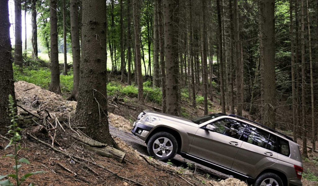 Mercedes Benz GLK прогулка по лесу