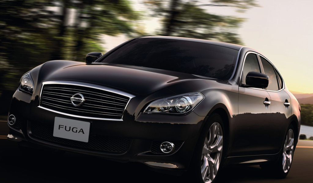 Nissan Fuga на прогулке