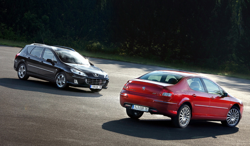 Peugeot 407