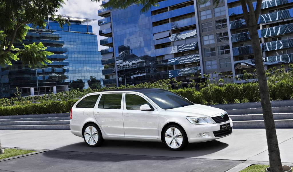 Шкода Октавиа Концепт