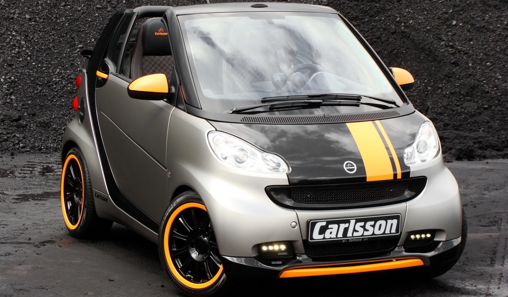 Карлссон Смарт 2010