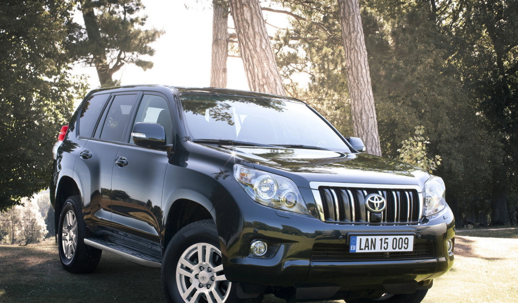 Тойота Лэнд Крузер в лесу