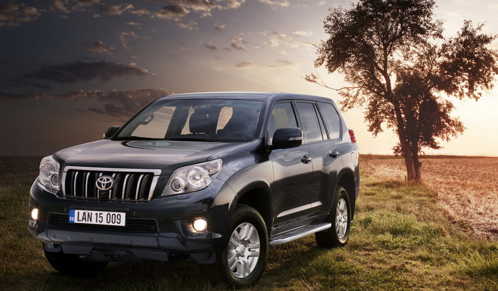 Toyota Land Cruiser возле дерева