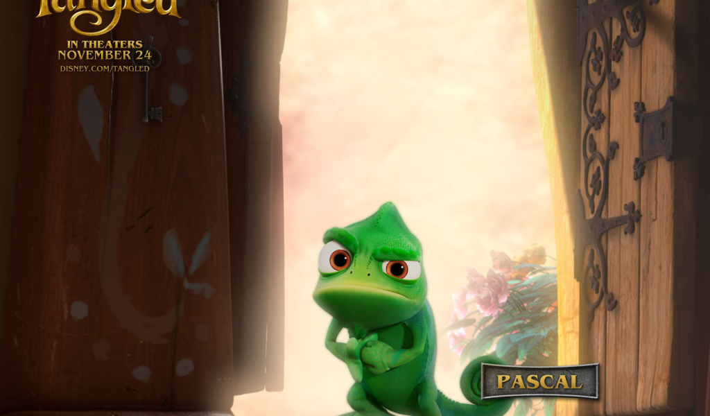 Рапунцель: Запутанная история