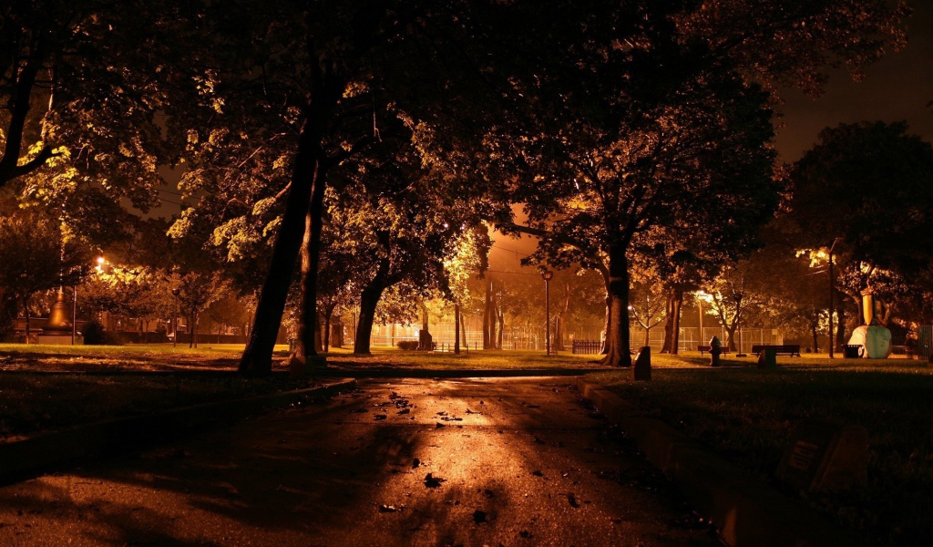 Ночь в городском парке