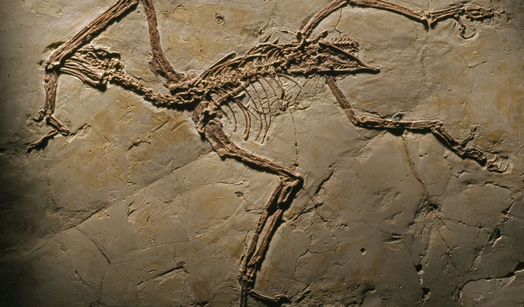 Археология