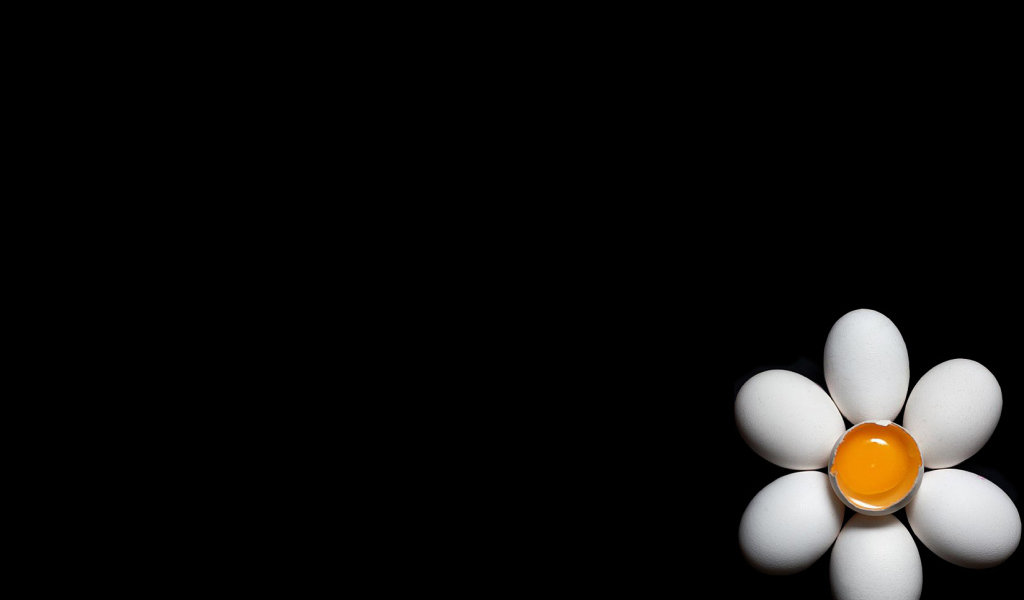 Ромашка из куриных яиц