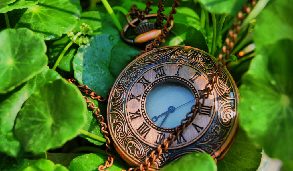 Карманные часы