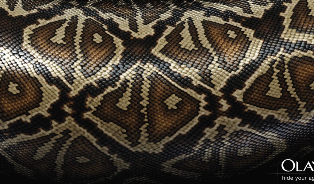 Змеиная кожа