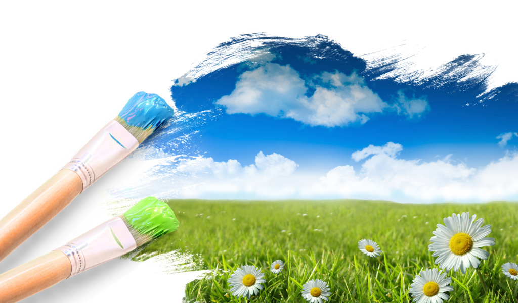 Полевые цветы