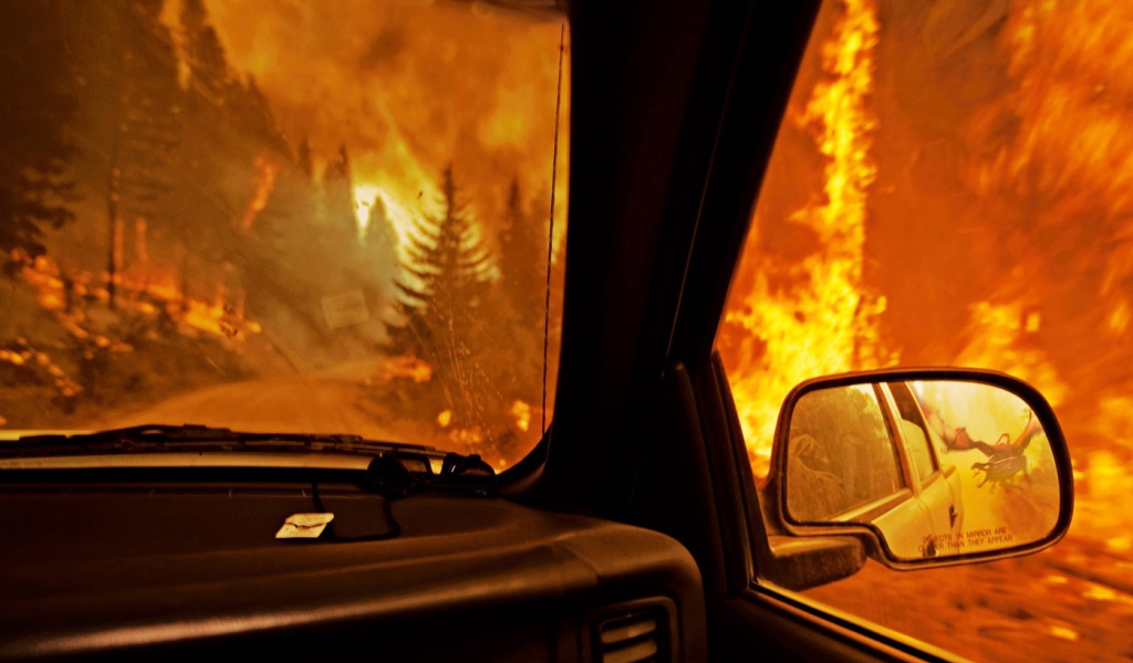 Лесной пожар