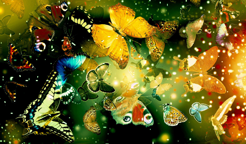 Яркие бабочки