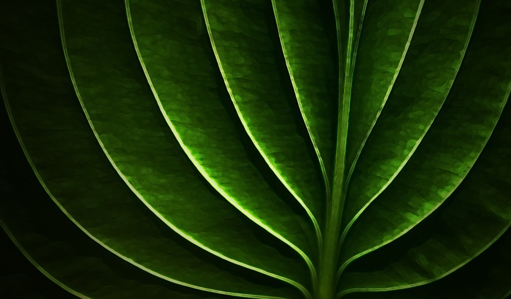 Неоновый листик