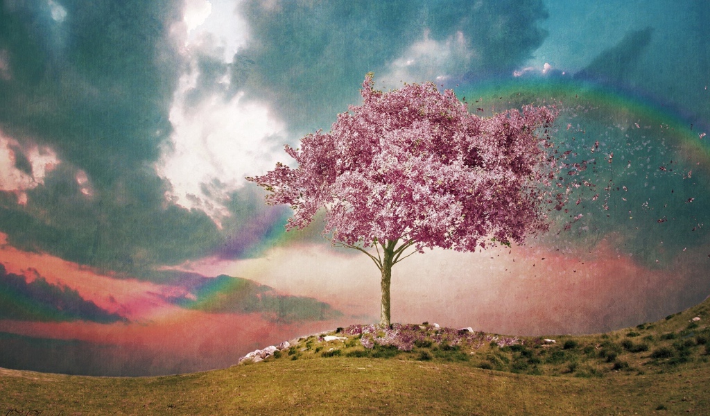 Розовое дерево