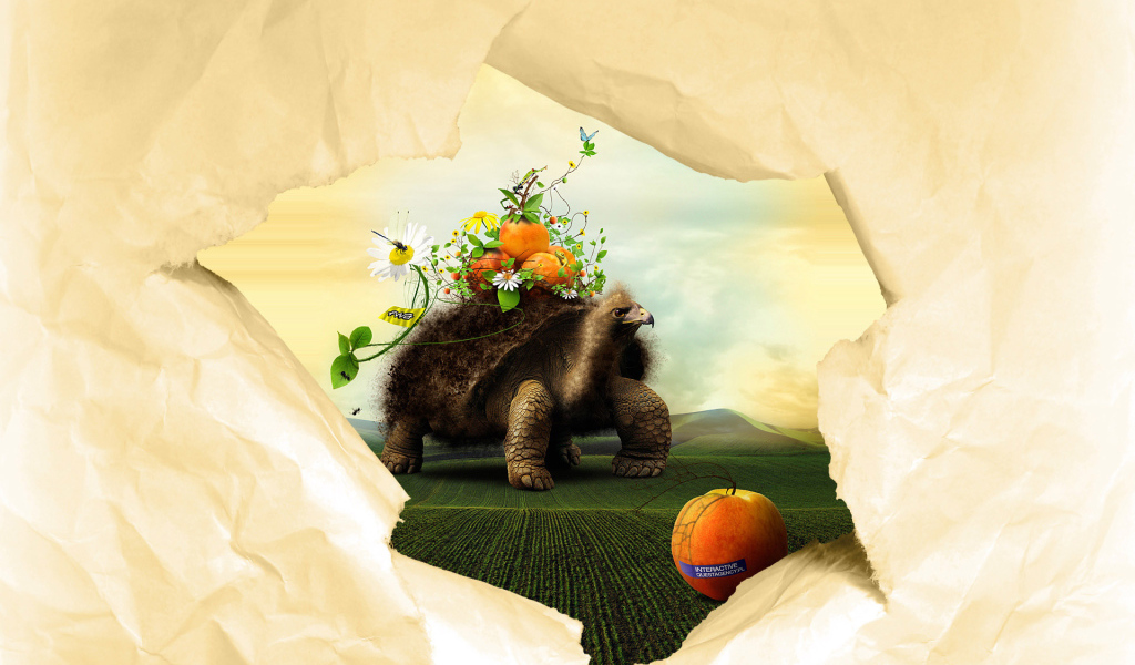 Черепаха и персики