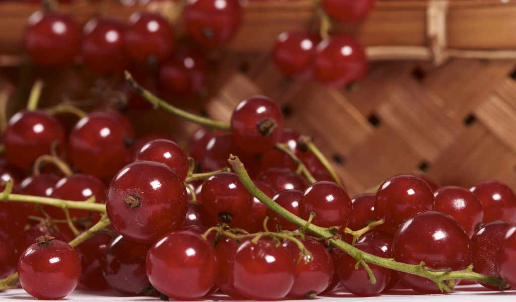 Красная смородина