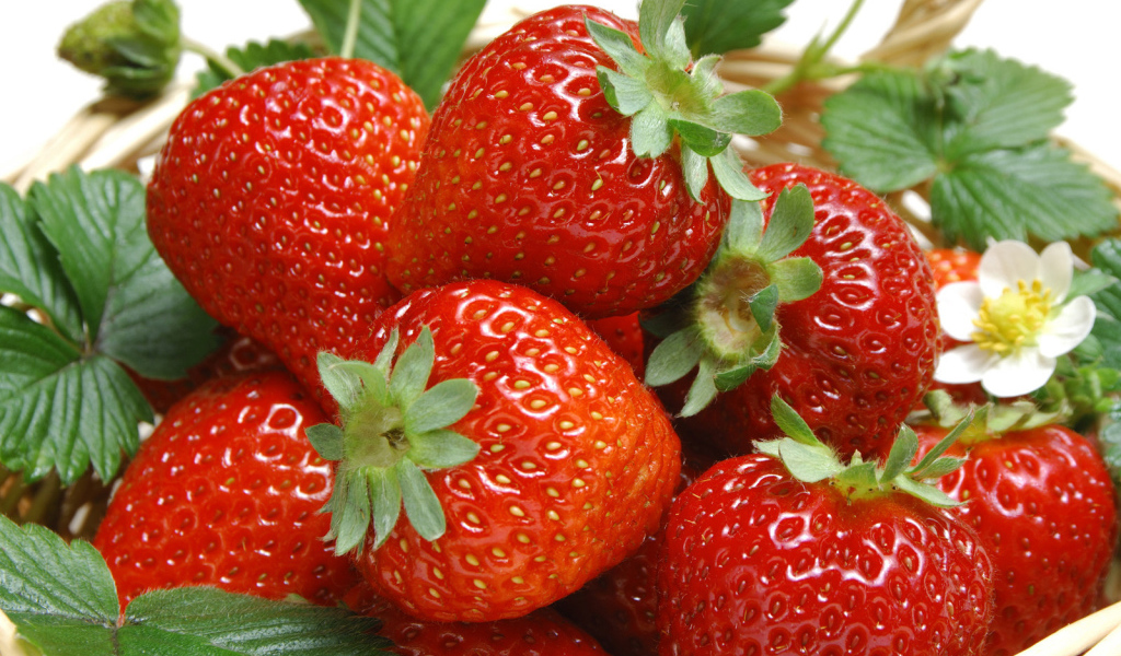 Спелая клубника