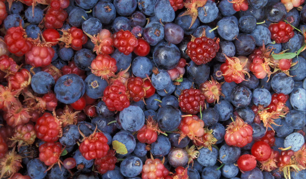 Лесное ассорти