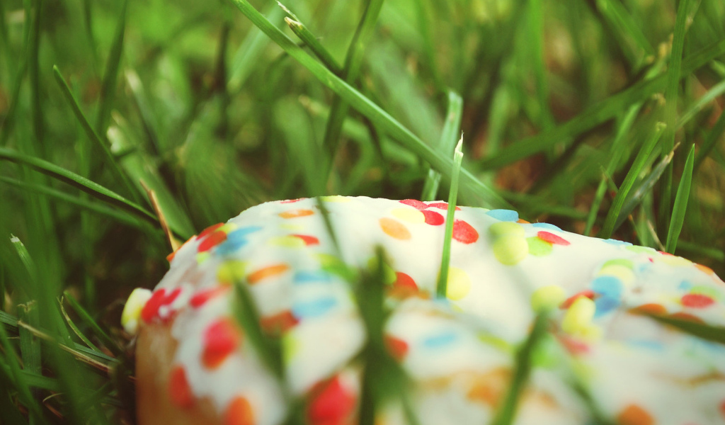 Потерянный пончик