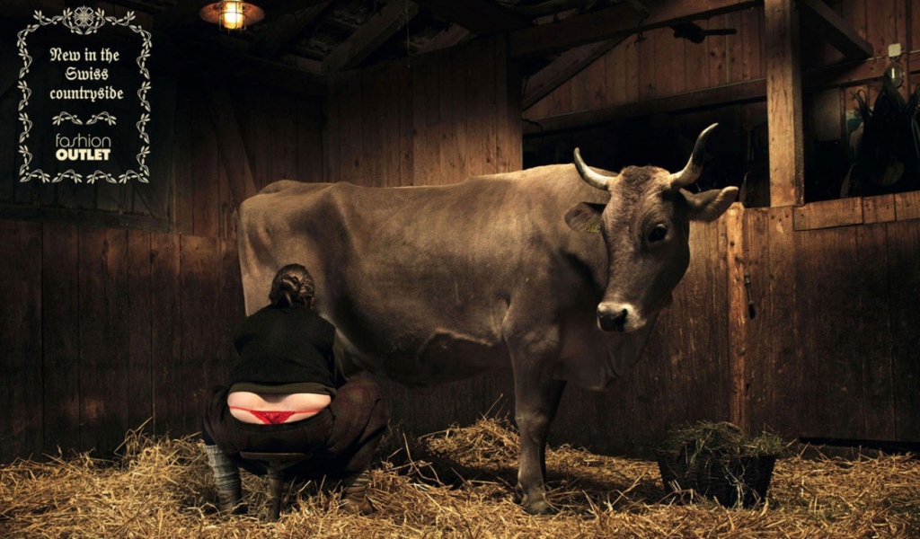 Корова молоко доярка