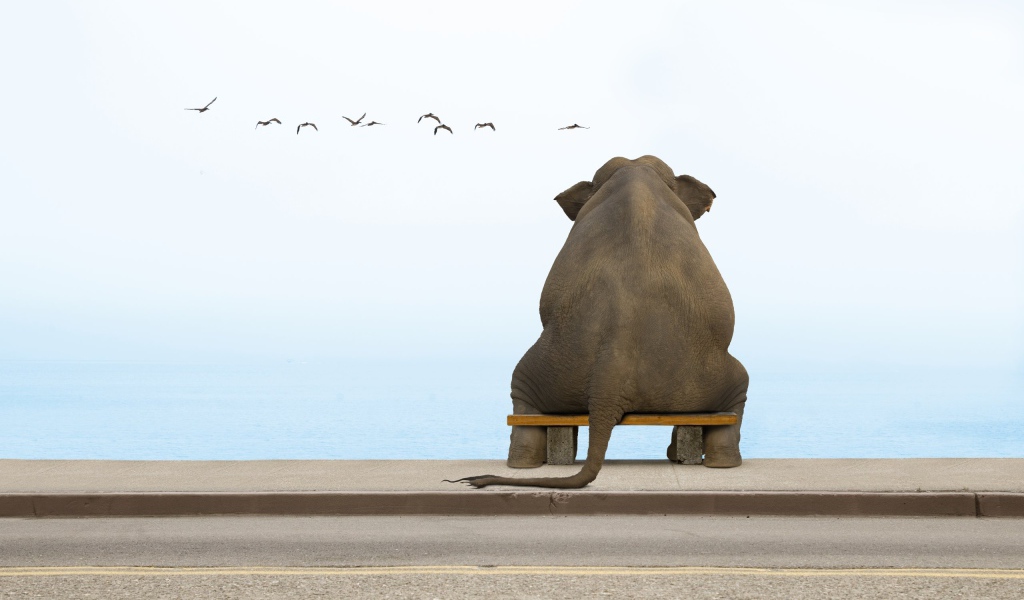 Слон на скамеечке