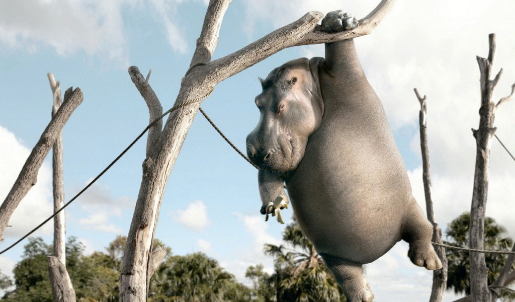 Бегемот с бананом