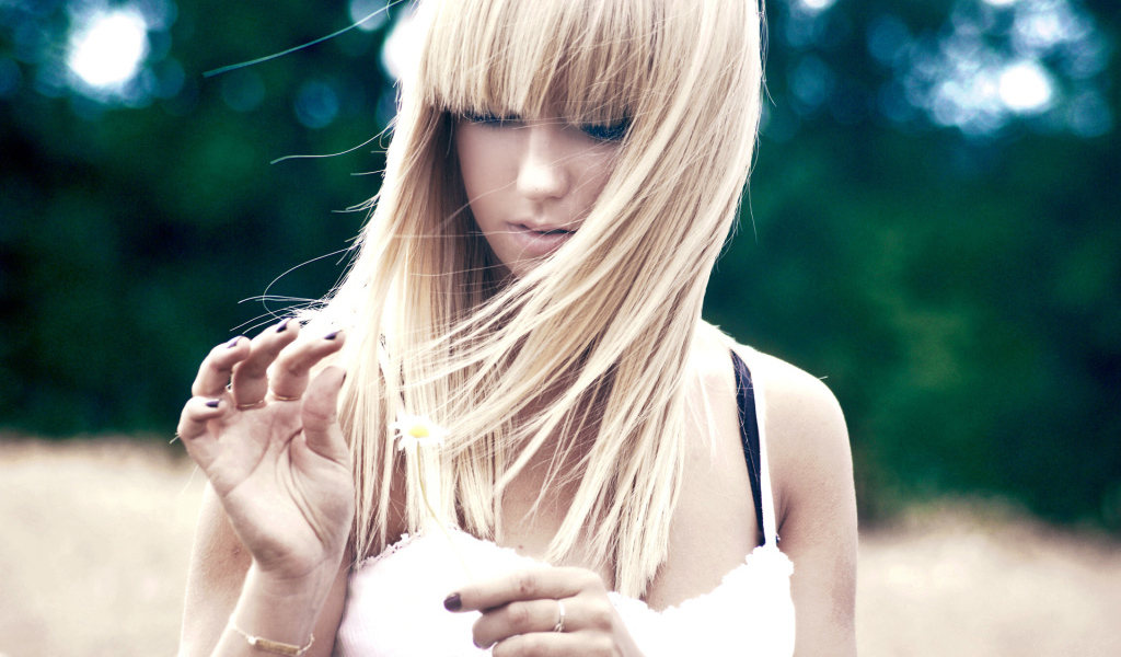 Гадая на ромашке