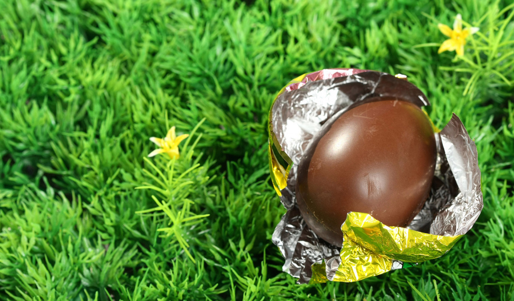 Шоколадное пасхальное яйцо