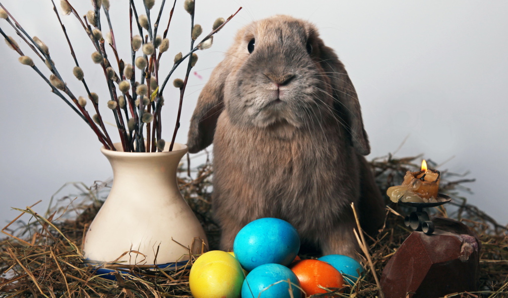 Пасхальный кролик