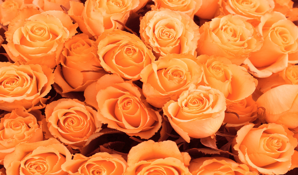 Красивые цветы к 8 Марта