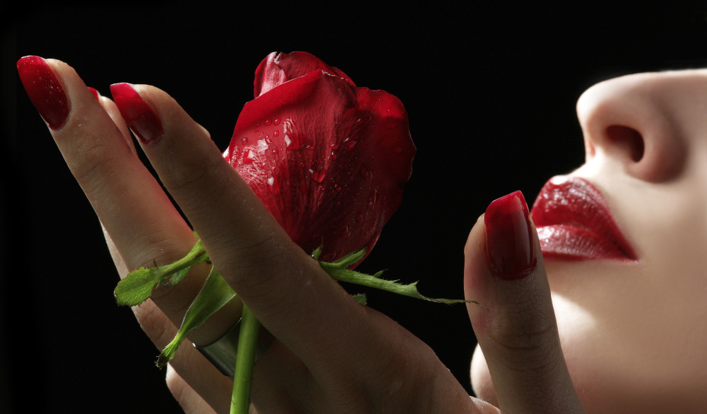 Роза в руках девушки