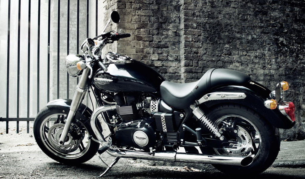 Triumph Speedmaster 2010