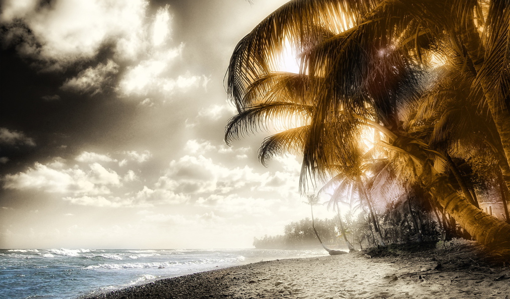 Пляж и пальмы