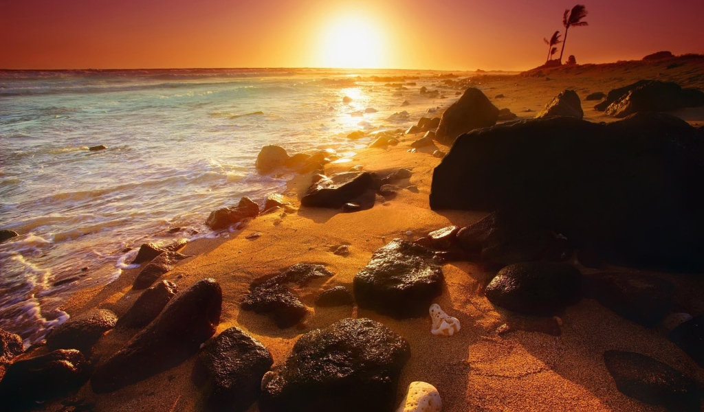 Заброшенный пляж