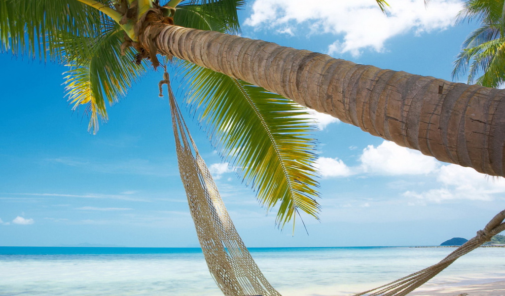 Гамак на берегу океана