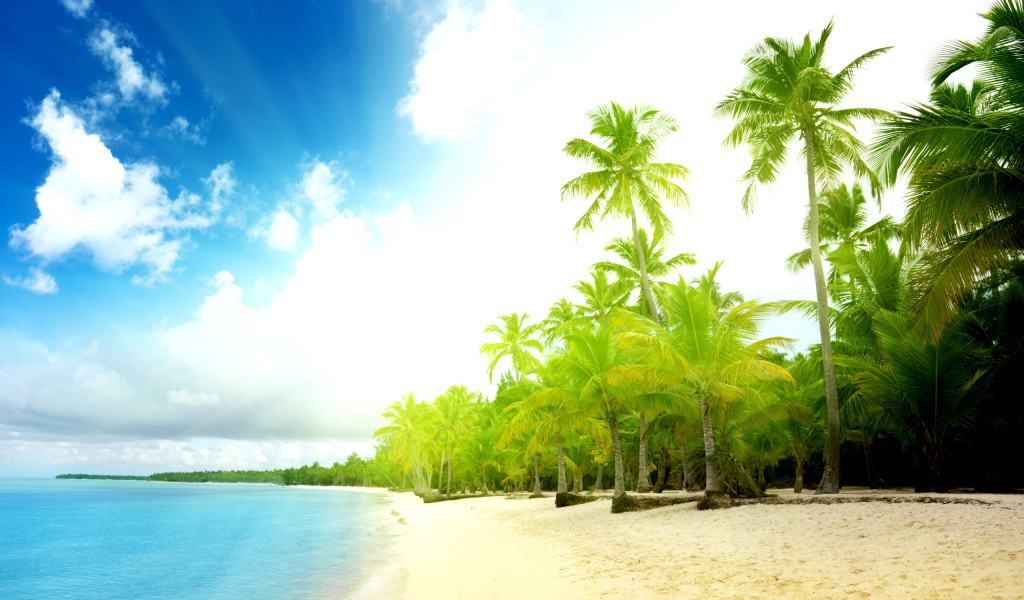 Пальмы на пляже